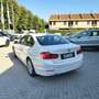 BMW 316 Serie 3 F30 2011 Berlina 316d - thumbnail 6