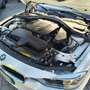 BMW 316 Serie 3 F30 2011 Berlina 316d - thumbnail 10