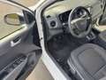Hyundai i10 Go Plus -nur 103300km - Top Zustand! Weiß - thumbnail 16