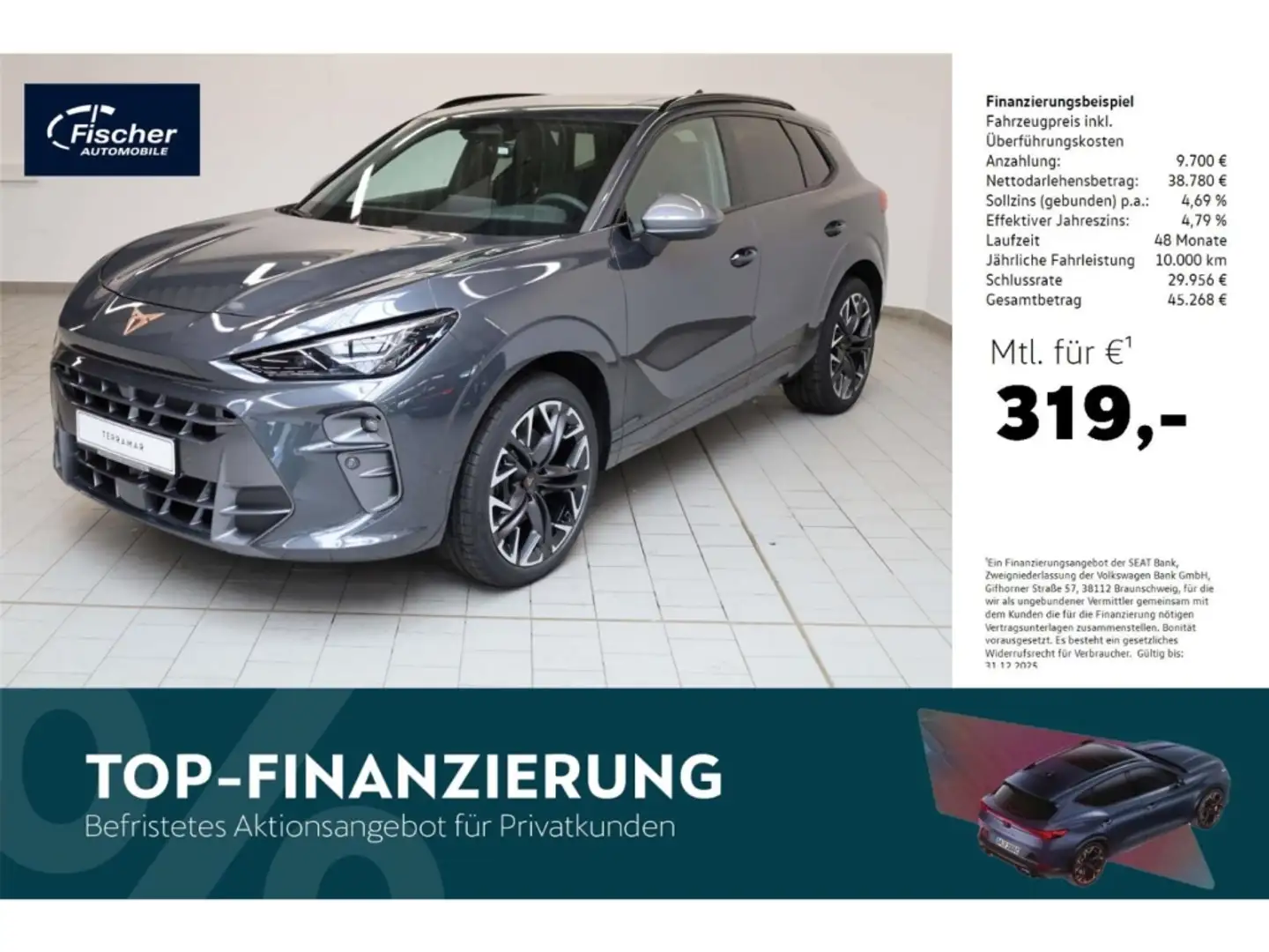 CUPRA Terramar 2.0 TSI 4Drive VZ DSG Matrix/P-Dach/NAV Grau - 1