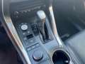 Lexus NX 300 NX Hybrid 4WD Luxury Gris - thumbnail 11