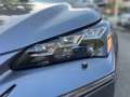 Lexus NX 300 NX Hybrid 4WD Luxury Gris - thumbnail 5