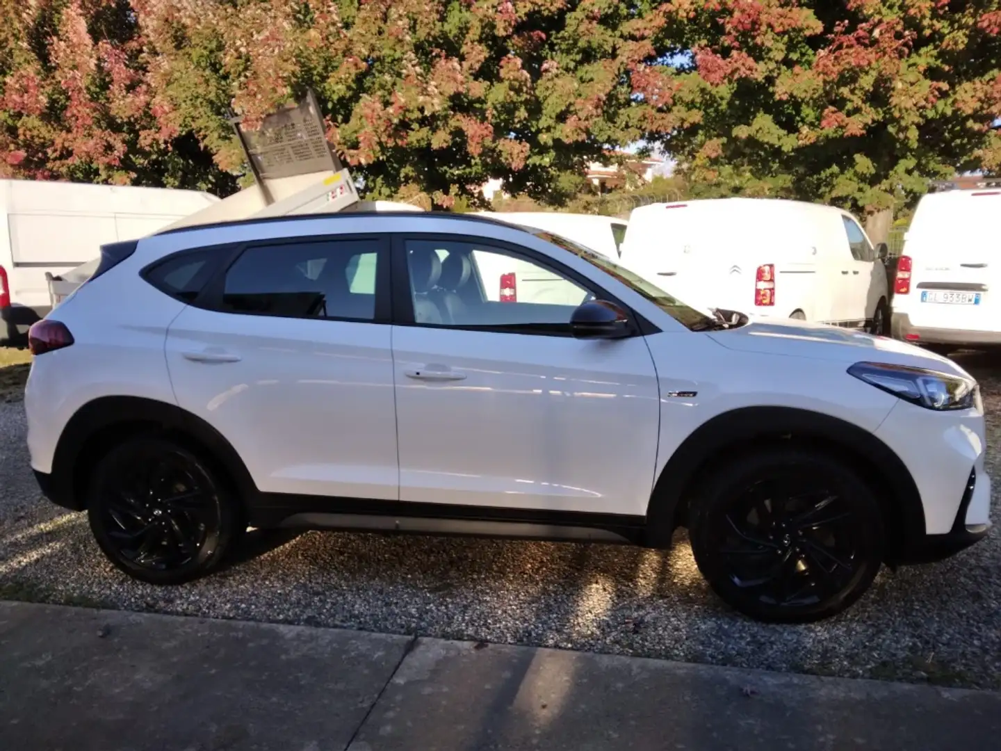 Hyundai TUCSON 1.6 CRDi 48V XPrime Blanc - 1
