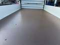 Ford Transit 350 2.0TDCi EcoBlue 130CV PL-TM Furgone Entry Bianco - thumbnail 9