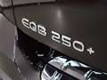 Mercedes-Benz EQB 250+ AMG NIGHT Business Edition | Sfeerverlich Schwarz - thumbnail 42