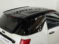 Ligier JS 50 Sport, Luxe, DCI, Servo, Carplay, Inkl Lieferung Blanc - thumbnail 18