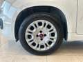 Fiat Panda 1.3 MJT 95 CV S&S Easy- OK NEOPATENTATI Bianco - thumbnail 7