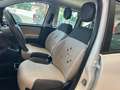 Fiat Panda 1.3 MJT 95 CV S&S Easy- OK NEOPATENTATI Bianco - thumbnail 8