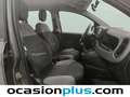 Fiat Panda 1.0 Gse Hybrid Grau - thumbnail 14