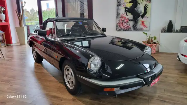 Alfa Romeo Spider view 11
