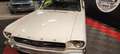 Ford Mustang Coupe - 289ci Blanco - thumbnail 15
