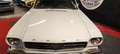 Ford Mustang Coupe - 289ci Blanco - thumbnail 14