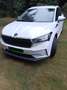 Skoda Enyaq Enyaq iV 80 Blanc - thumbnail 1