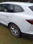 Skoda Enyaq Enyaq iV 80 Blanc - thumbnail 3