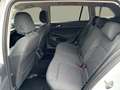 Volkswagen Golf Variant Life TDI Weiß - thumbnail 14