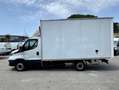 Iveco Daily 35S14 METANO FURGONATO Km 40.000 Alb - thumbnail 6