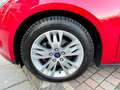 Ford Focus Ford focus sw 1.6 tdci titanium certificata xfetta - thumbnail 6