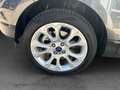 Ford EcoSport 1,0 Ecoboost Titanium Grau - thumbnail 15