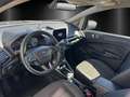 Ford EcoSport 1,0 Ecoboost Titanium Grau - thumbnail 10