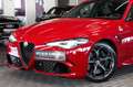 Alfa Romeo Giulia Quadrifoglio|PERFORMANCE-PAKET|ACC|H&K| Red - thumbnail 3