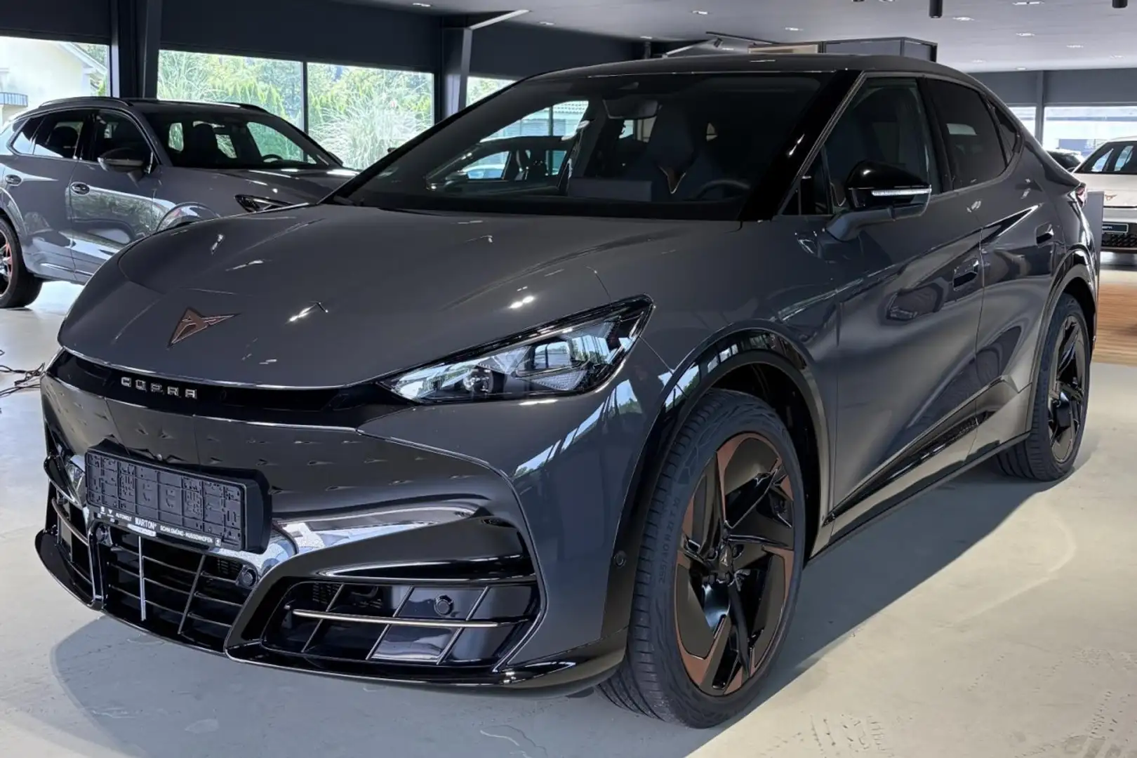 CUPRA Tavascan Klima Einparkhilfe Kurvenlicht Panoramadach Grigio - 1