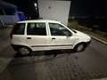 Fiat Punto 5p 1.2 SX 75cv Bianco - thumbnail 3