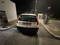 Fiat Punto 5p 1.2 SX 75cv Bianco - thumbnail 4