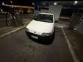 Fiat Punto 5p 1.2 SX 75cv Bianco - thumbnail 2