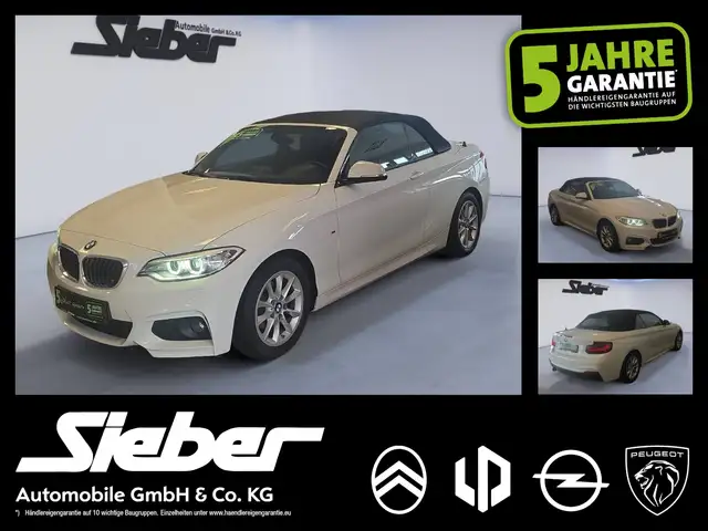 BMW 218 i Cabrio M-Sport *BiXenon*LM-Felgen*PDC*