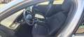 Ford Focus 1.0t ecoboost h ST-Line 125cv Grigio - thumbnail 8