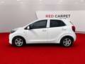 Kia Picanto 1.0 Silber 1. Besitz | Sitz- & Lenkradheizung Weiß - thumbnail 2