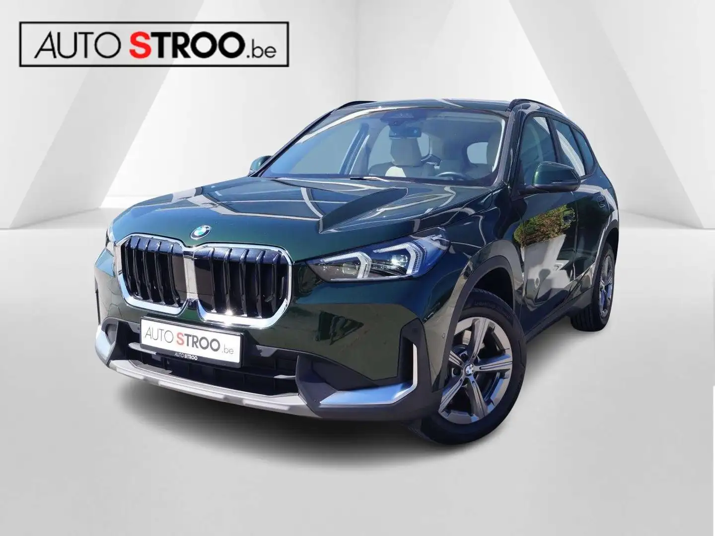 BMW X1 20i AUT. LED l Leder l HeadUp l TrekH l 360cam Grün - 1
