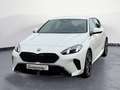 BMW 120 M Sportpaket Pro Navi Klima PDC Kamera Sport Weiß - thumbnail 2