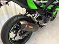 Kawasaki Ninja 300 Verde - thumbnail 5