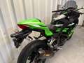 Kawasaki Ninja 300 Verde - thumbnail 6