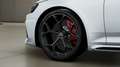 Audi RS4 RS 4 Avant 2.9 TFSI Competition AHK Panorama B&O Weiß - thumbnail 8