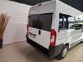 Fiat Ducato 30 2.3 MJT 140CV PC-TN Panorama 9 POSTI Blanc - thumbnail 5