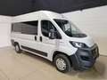 Fiat Ducato 30 2.3 MJT 140CV PC-TN Panorama 9 POSTI Blanc - thumbnail 2