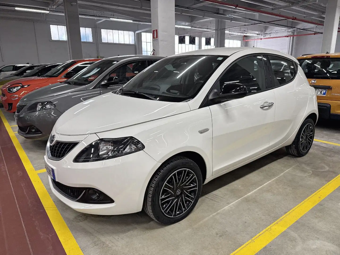 Lancia Ypsilon 1.0 FireFly 70cv Hybrid Gold Bianco - 2