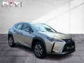 Lexus UX 300e Basis Klima Kamera Sitzhzg Tempomat Argent - thumbnail 8