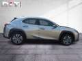 Lexus UX 300e Basis Klima Kamera Sitzhzg Tempomat Silber - thumbnail 7