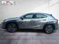 Lexus UX 300e Basis Klima Kamera Sitzhzg Tempomat Silber - thumbnail 3