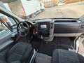 Mercedes-Benz Sprinter 513 CDI/ Pritsche/ 2X Plane/ E6/ 435 cm lange Wit - thumbnail 8