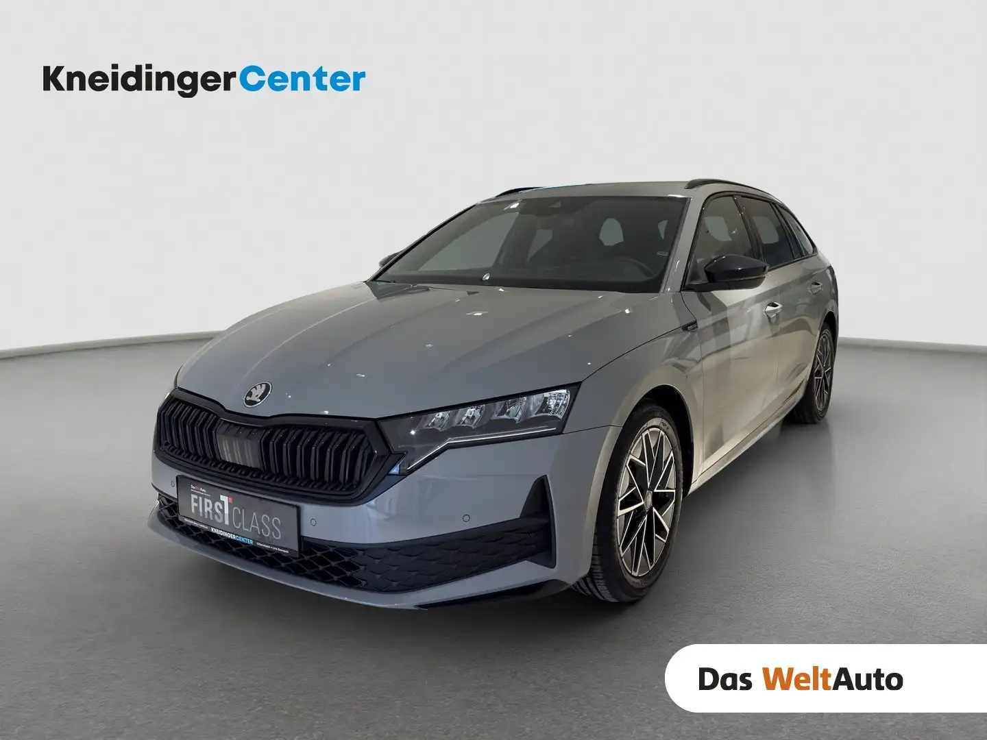 Skoda Octavia Sportline TDI DSG Grau - 1