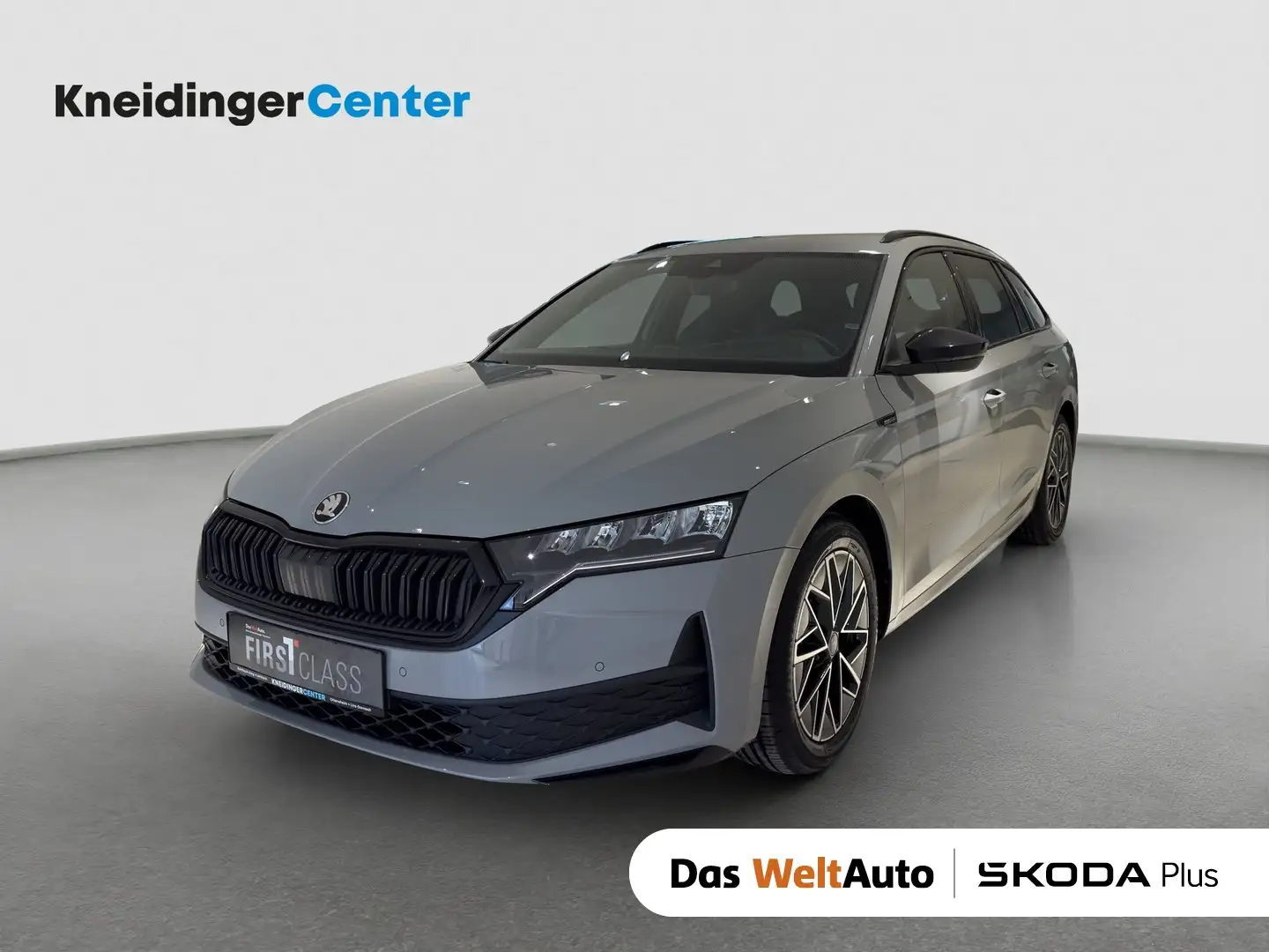 Skoda Octavia Sportline TDI DSG Grau - 1