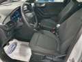 Ford Puma 1.0 ecoboost Titanium S&S Bianco - thumbnail 7