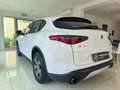 Alfa Romeo Stelvio Stelvio 2.2 t Business Q4 190cv auto Bianco - thumbnail 7
