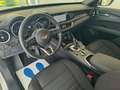 Alfa Romeo Stelvio Stelvio 2.2 t Business Q4 190cv auto Bianco - thumbnail 11