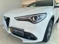 Alfa Romeo Stelvio Stelvio 2.2 t Business Q4 190cv auto Bianco - thumbnail 4