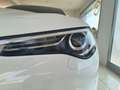 Alfa Romeo Stelvio Stelvio 2.2 t Business Q4 190cv auto Bianco - thumbnail 6